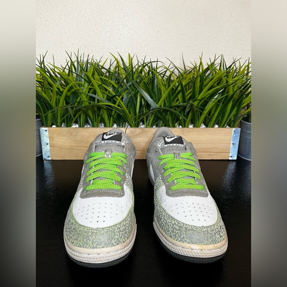 Nike Terminator Low Premium Green White Grey - Picture 6 of 10